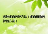 各种多肉养护方法（多肉植物养护的方法）