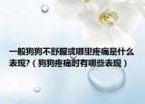 一般狗狗不舒服或哪里疼痛是什么表现?（狗狗疼痛时有哪些表现）