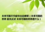未来可期不负韶华出自哪里（未来可期的意思 韶光正好 未来可期的意思是什么）