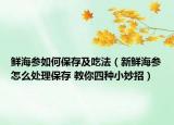 鲜海参如何保存及吃法（新鲜海参怎么处理保存 教你四种小妙招）