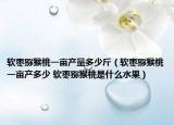 软枣猕猴桃一亩产量多少斤（软枣猕猴桃一亩产多少 软枣猕猴桃是什么水果）