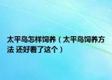 太平鸟怎样饲养（太平鸟饲养方法 还好看了这个）