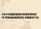 9月20日最新更新内容翡翠有棉好吗 有棉会影响质量吗 详细情况介绍