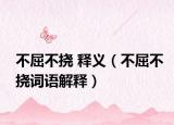 不屈不挠 释义（不屈不挠词语解释）