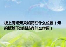板上有墙无梁加筋在什么位置（无梁板墙下加强筋有什么作用）