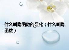 什么叫隐函数的显化（什么叫隐函数）