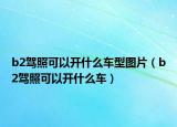 b2驾照可以开什么车型图片（b2驾照可以开什么车）