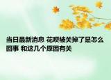 当日最新消息 花呗被关掉了是怎么回事 和这几个原因有关