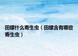 田螺什么寄生虫（田螺含有哪些寄生虫）
