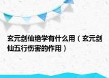玄元剑仙绝学有什么用（玄元剑仙五行伤害的作用）