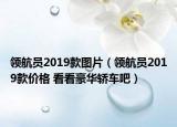 领航员2019款图片（领航员2019款价格 看看豪华轿车吧）