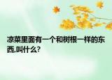 凉菜里面有一个和树根一样的东西,叫什么?