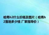 哈弗h2什么价格及图片（哈弗h2落地多少钱 厂家指导价）