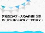梦到自己掉了一大把头发是什么意思（梦见自己头发掉了一大把含义）