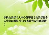 手机头条号个人中心在哪里（头条号里个人中心在哪里 今日头条账号ID在哪里看）