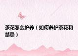 茶花怎么护养（如何养护茶花和禁忌）