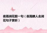 夜雨润花前一句（夜雨瞒人去润花句子赏析）