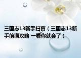 三国志13新手扫盲（三国志13新手前期攻略 一看你就会了）
