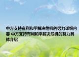 中方支持有利和平解决危机的努力详细内容 中方支持有利和平解决危机的努力具体介绍
