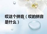 哎这个拼音（哎的拼音是什么）