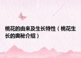 桃花的由来及生长特性（桃花生长的奥秘介绍）