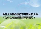 为什么电脑微信打不开图片和文件（为什么电脑微信打不开图片）
