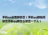 手机qq设置群禁言（手机qq群如何禁言手机qq群怎么禁言一个人）