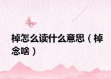 棹怎么读什么意思（棹念啥）