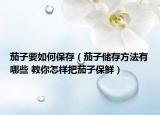 茄子要如何保存（茄子储存方法有哪些 教你怎样把茄子保鲜）