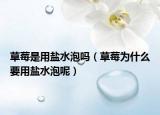草莓是用盐水泡吗（草莓为什么要用盐水泡呢）