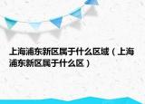 上海浦东新区属于什么区域（上海浦东新区属于什么区）