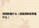测测粉是什么（微信测粉意思是什么）