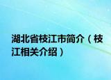 湖北省枝江市简介（枝江相关介绍）