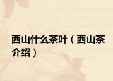 西山什么茶叶（西山茶介绍）