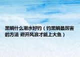 黑鲷什么潮水好钓（钓黑鲷最厉害的方法 避开风浪才能上大鱼）