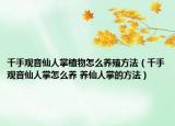 千手观音仙人掌植物怎么养殖方法（千手观音仙人掌怎么养 养仙人掌的方法）