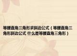 等腰直角三角形求斜边公式（等腰直角三角形斜边公式 什么是等腰直角三角形）
