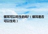 银耳可以吃生的吗?（银耳是否可以生吃）