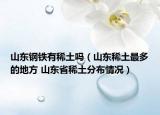 山东钢铁有稀土吗（山东稀土最多的地方 山东省稀土分布情况）
