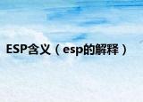 ESP含义（esp的解释）