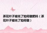 茶花叶子掉光了如何做肥料（茶花叶子掉光了如何做）