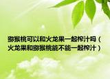 猕猴桃可以和火龙果一起榨汁吗（火龙果和猕猴桃能不能一起榨汁）