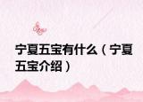宁夏五宝有什么（宁夏五宝介绍）