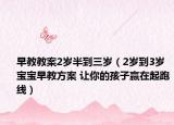 早教教案2岁半到三岁（2岁到3岁宝宝早教方案 让你的孩子赢在起跑线）