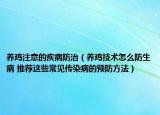 养鸡注意的疾病防治（养鸡技术怎么防生病 推荐这些常见传染病的预防方法）