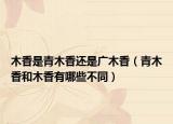 木香是青木香还是广木香（青木香和木香有哪些不同）