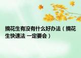 摘花生有没有什么好办法（摘花生快速法 一定要会）