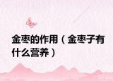 金枣的作用（金枣子有什么营养）