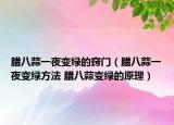 腊八蒜一夜变绿的窍门（腊八蒜一夜变绿方法 腊八蒜变绿的原理）