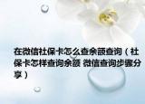 在微信社保卡怎么查余额查询（社保卡怎样查询余额 微信查询步骤分享）